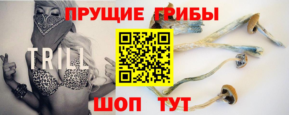 Псилоцибиновые грибы Psilocybine cubensis  Вход с VPN  Псилоцибиновые грибы мицелий  Вятские Поляны 